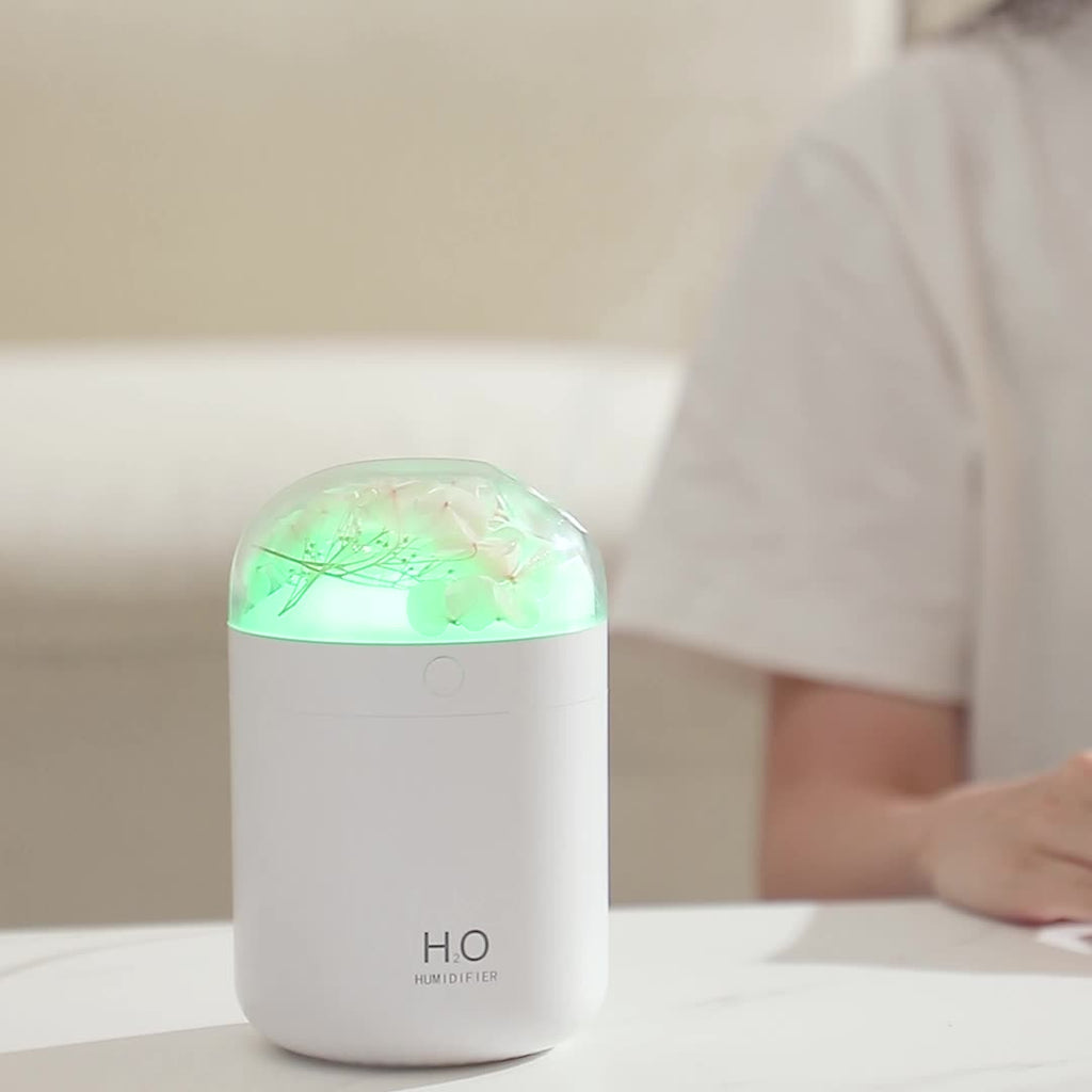 Blossom Aura Humidifier Berriscent