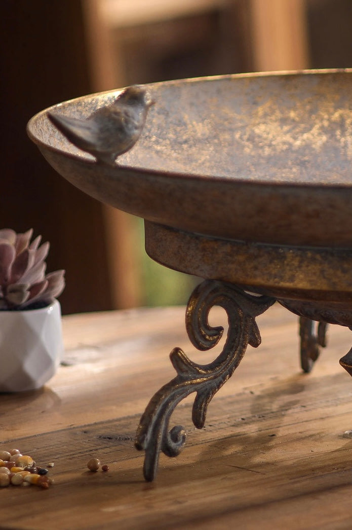 Rustic Wrought Iron Bird Bowl Berriscent