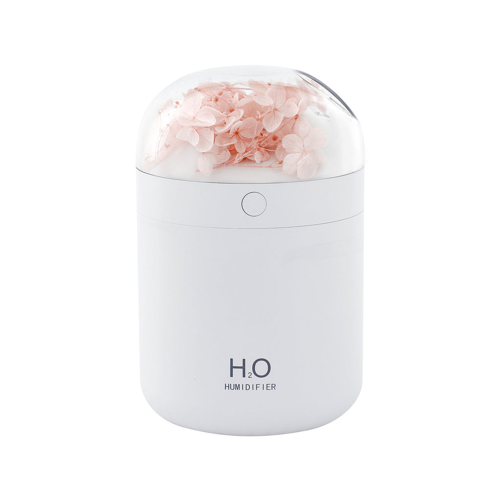 Blossom Aura Humidifier Berriscent