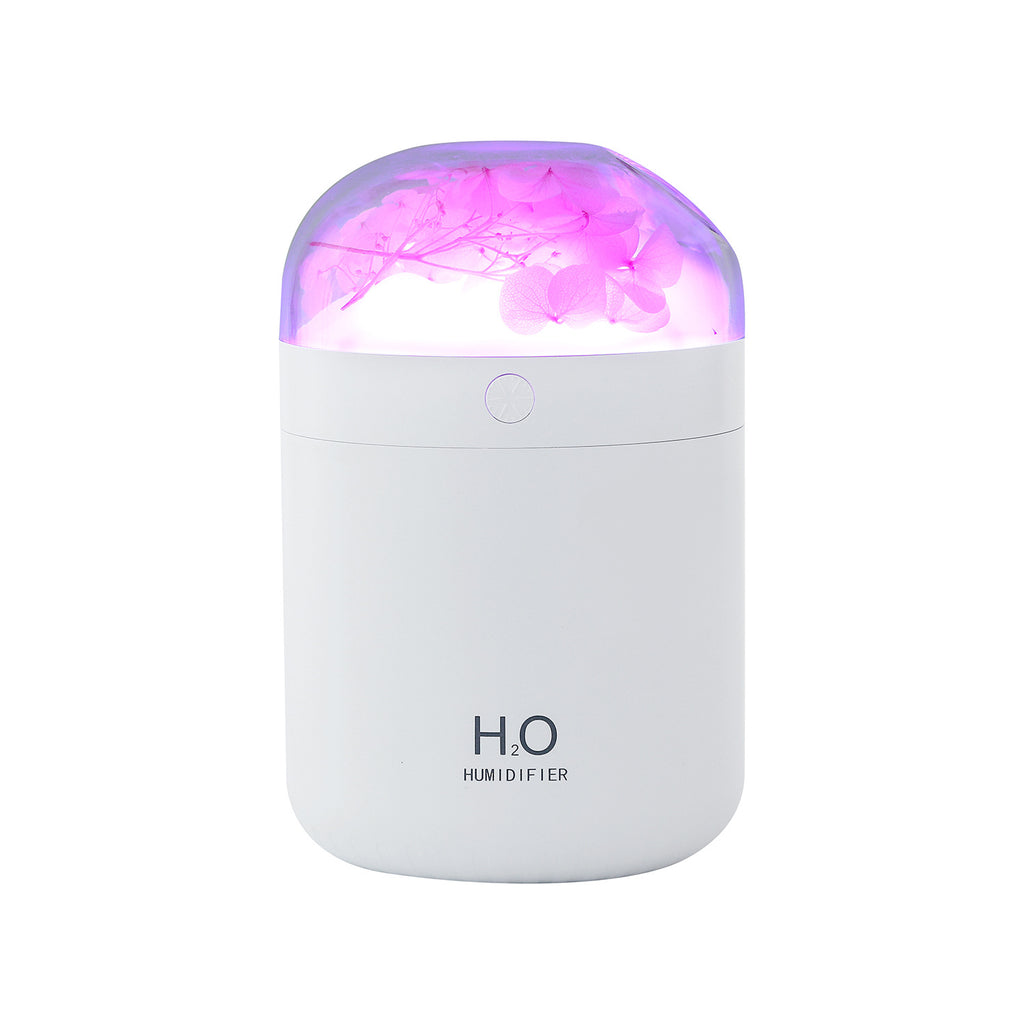 Blossom Aura Humidifier Berriscent