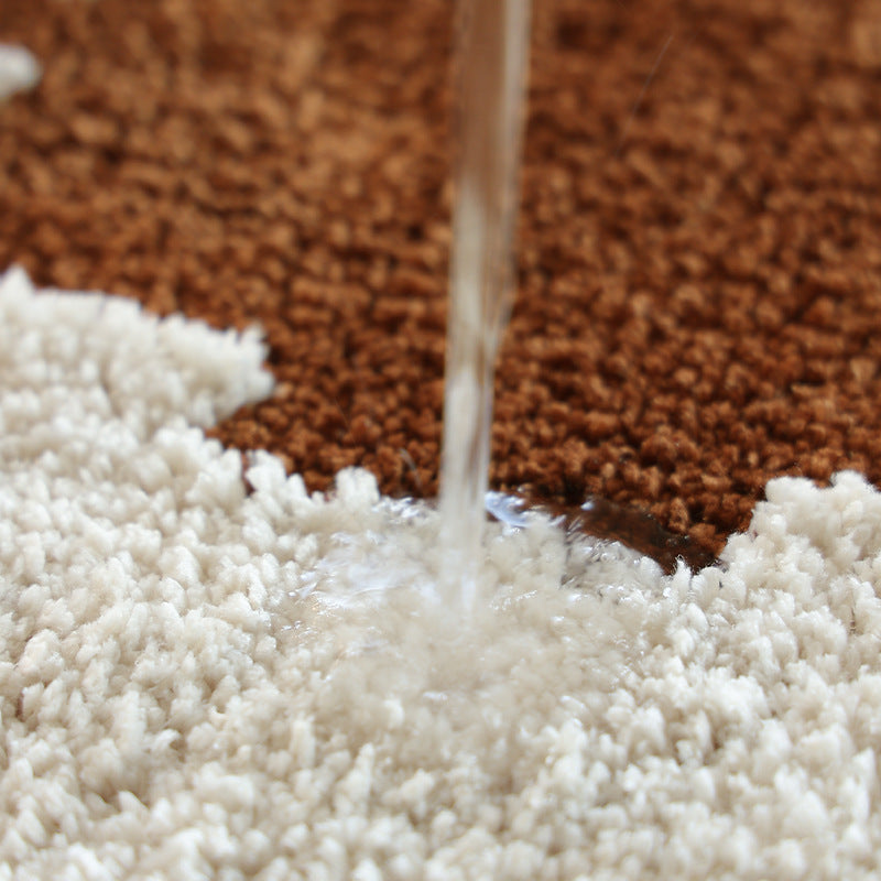 Cozy Puppy Shag Rug – Water-Resistant & Non-Slip Mat Berriscent