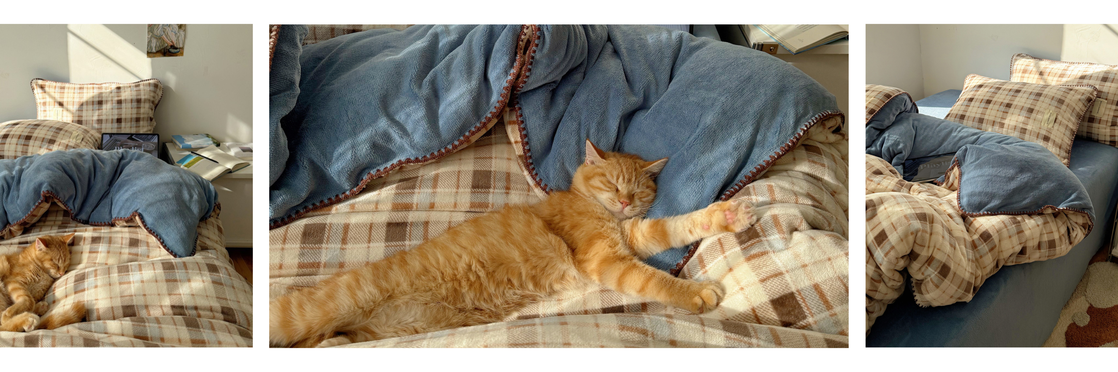 Berriscent bedding for relaxed living, featuring a cozy ginger cat resting on soft, check-patterned linens.